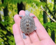 カロリナコンセントリック(ダイヤモンドバックテラピン)画像